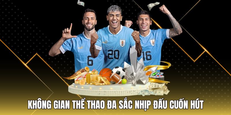 Không gian thể thao đa sắc nhịp đấu cuốn hút